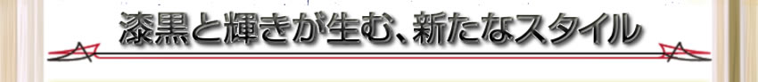 �����ƋP�������ށA�V���ȃX�^�C��