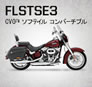 FLSTSE3