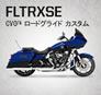FLTRXSE
