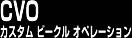 �J�X�^���r�[�N���I�y���[�V����