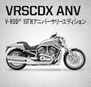 VRSCDX ANV