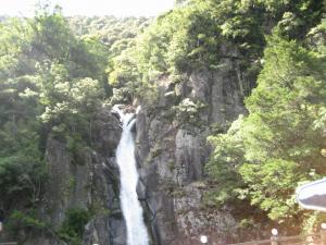 IMG_0433..