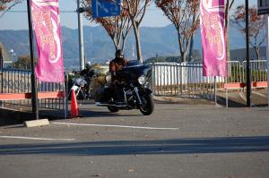018DSC_1..