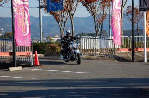 019DSC_1..