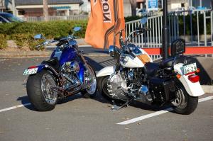 033DSC_1..