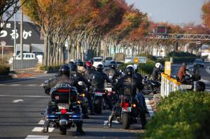 077DSC_1..