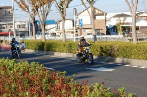 084DSC_1..
